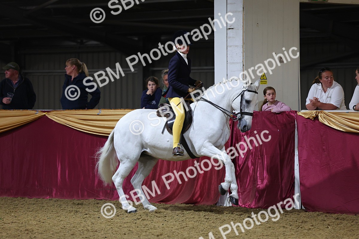 0B8A4587 - Class Q Style & Performance Champ