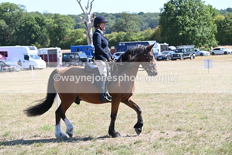 WJ6_8234 - Class 37a Best Loan Pony Ridden