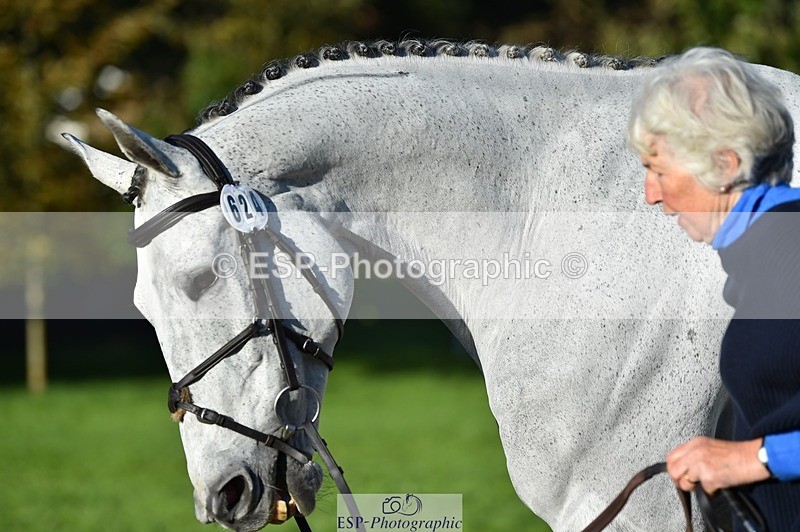 231022-100318-22212 - 624-CORRIEVIEW.OSCAR-Jane.Rogers-TrotUp+SJ