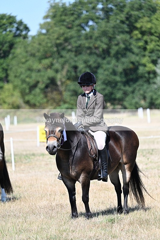 WJ7_4208 - Class 9 Mountain & Moorland Ridden