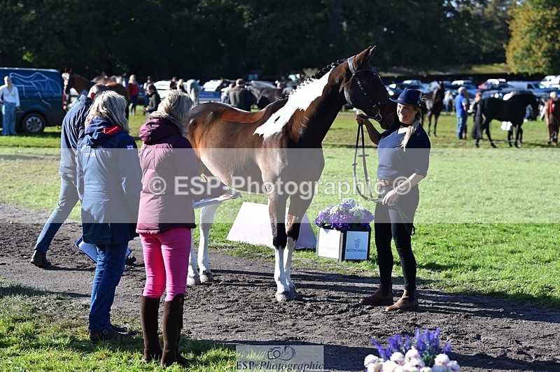 231022-110458-23704 - 408-BANKSY.III-Tina.Wallace-TrotUp+SJ