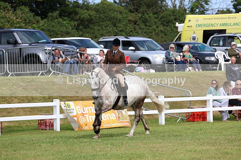 3E7A0250 - Class 6: Rising Star Maxi Cobs