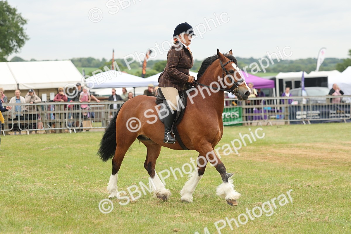 SBM_07197 - Class 76-77 - Ridden M&M Welsh Ponies