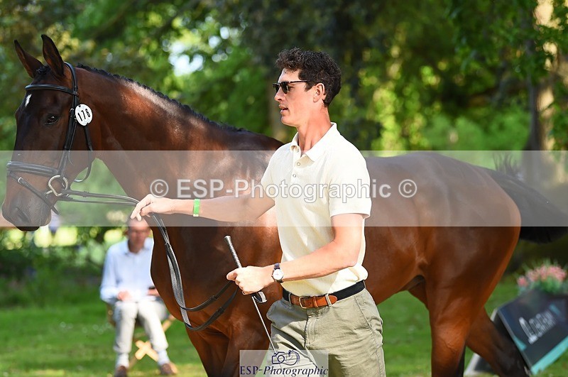 230524-171914-01433 - 176-TENZ-Will_Rawlin-WEDTrotUp+DR