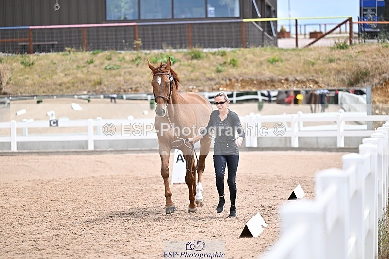 250716-132457-00492 - Trot Up 12.30 to 1.30