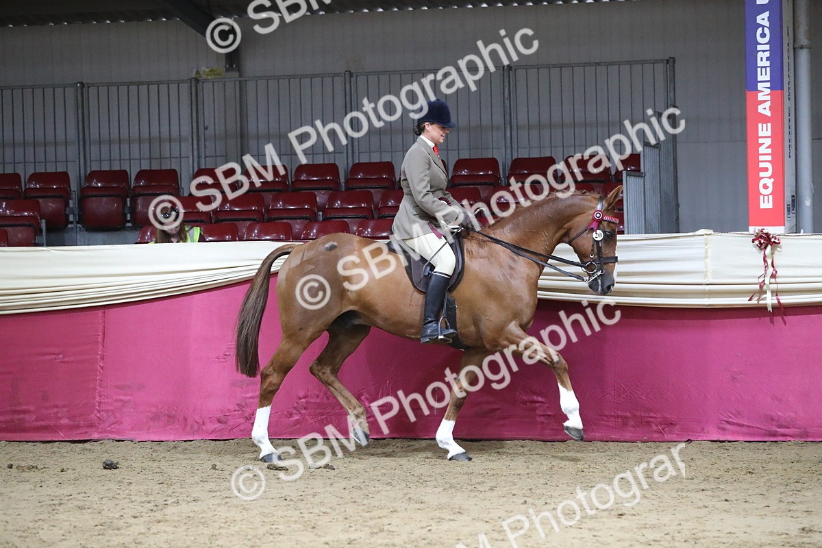 SBM_08491 - Class 11R Regional Ridden Veteran