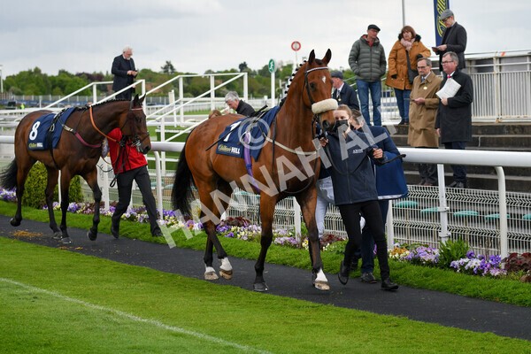 yr22052021r4-9 - Race 4 3.50pm WilliamHill.com Best Odds Guaranteed Stakes