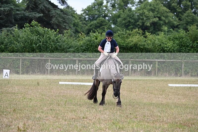 WJ6_1454 - Time 10:28 to 10:40