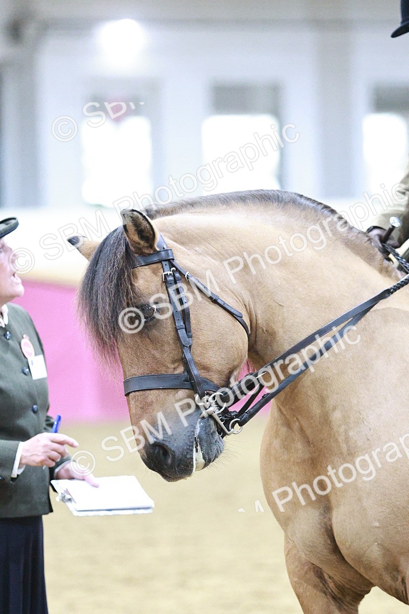 SBM_08097 - Class 11R - Regional Ridden Veteran