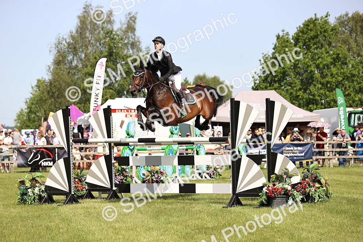 SBM_03148 - Class 201 - British Horse Feedds Speedi Beet HOYS Grade C