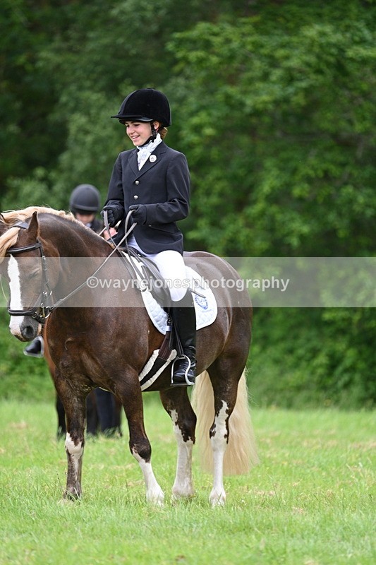 WJ7_4275 - Class 14A Handsome Gelding
