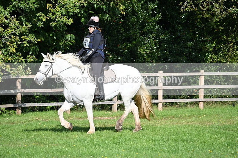 WJ7_3342 - 40cm Time 10:08 to 10:25