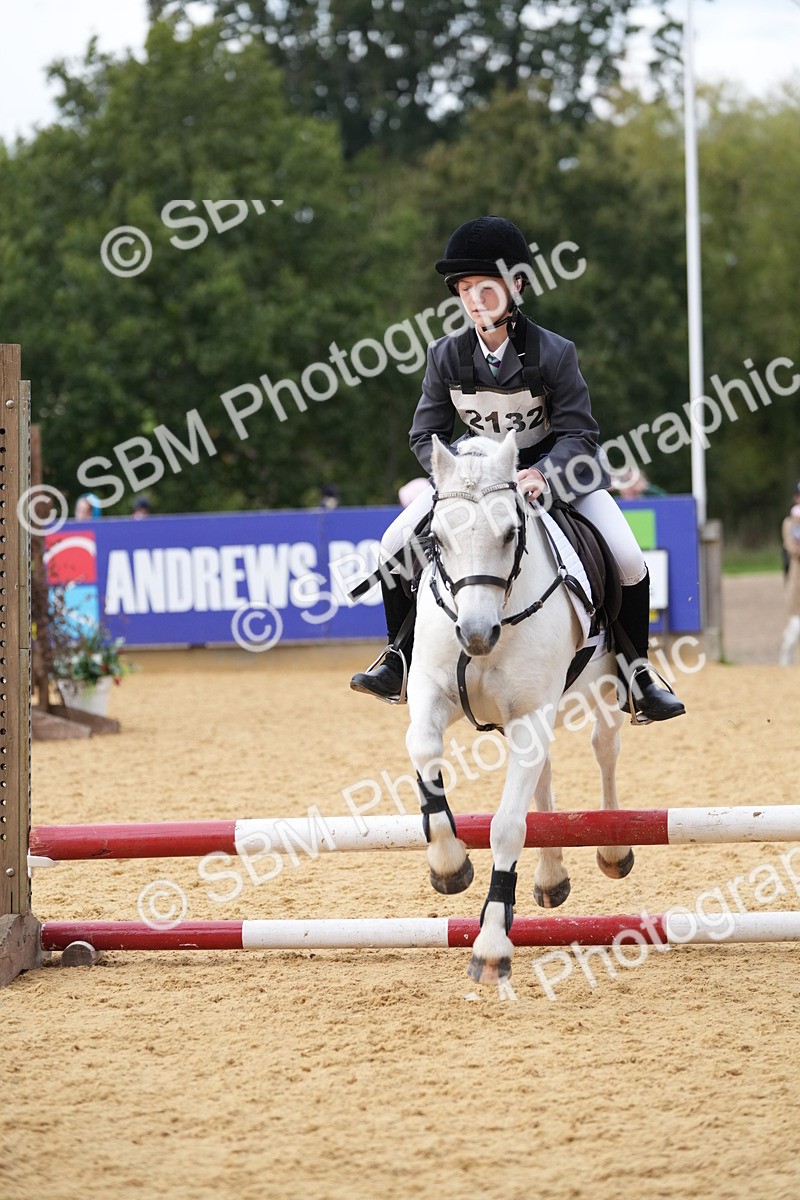 SBM_74779 - J4 - Mini Tour Junior Pony 45cm Championship