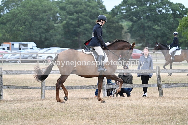 WJ7_0888 - Class 7 Riding Club Show Horse