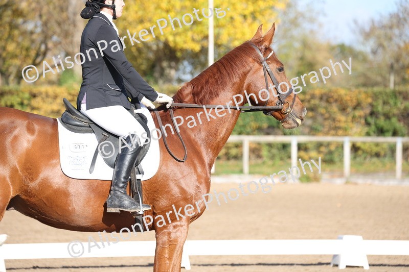 20251102-0606 - Class 4 - Novice 6