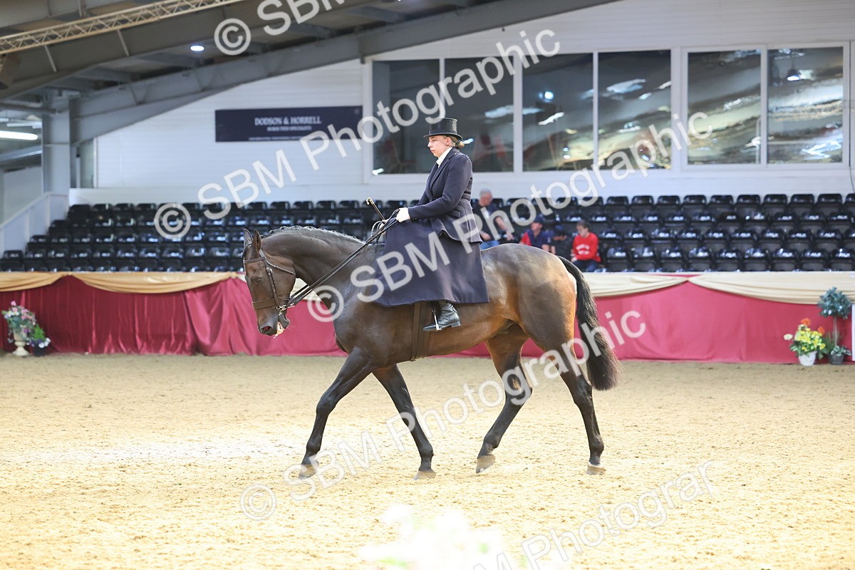 SBM_24564 - Class 906 - Supreme Final - Ridden Pre Vet