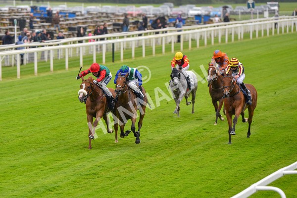 140723-Race 1-Northern Express-8084 - Race 1 2.05pm William Hill Epic Value Handicap