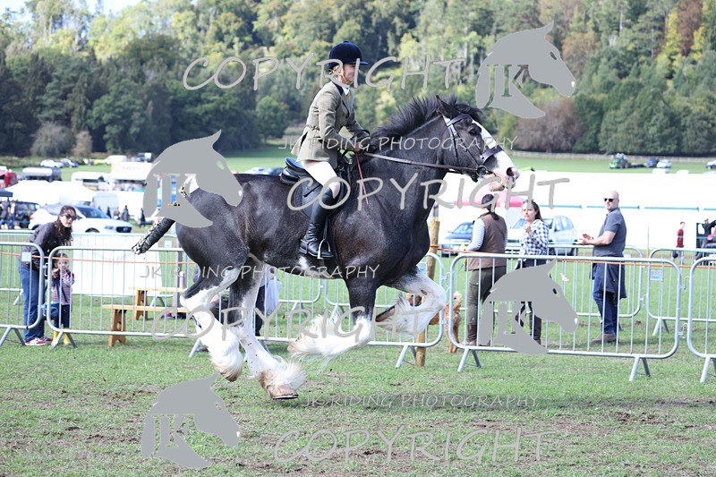 APP_3782 - Class 8 Ridden Class