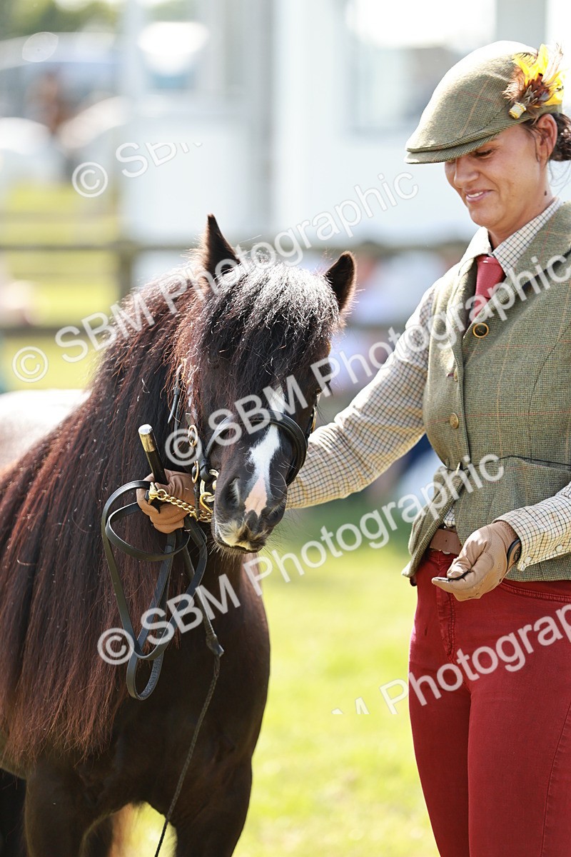 SBM_08673