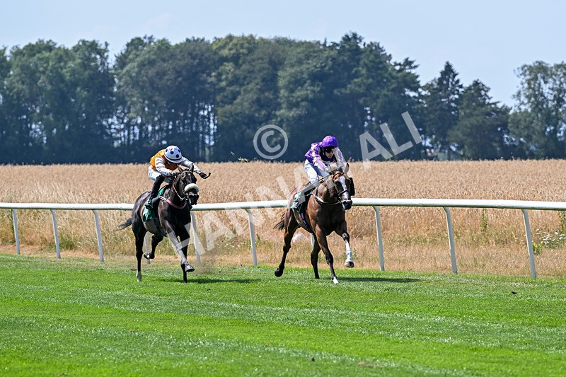 160726-Race 2-Hatamoto-4211 - Race 2 14.28pm By Chen Presidential Apprentice Handicap