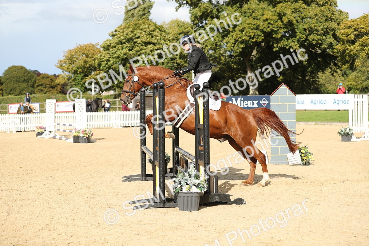 SBM_09915 - J36 - Veteran Rider 70cm