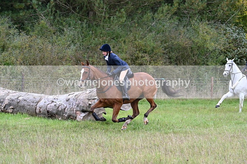 WJ7_3634 - Camera 1 Line 1