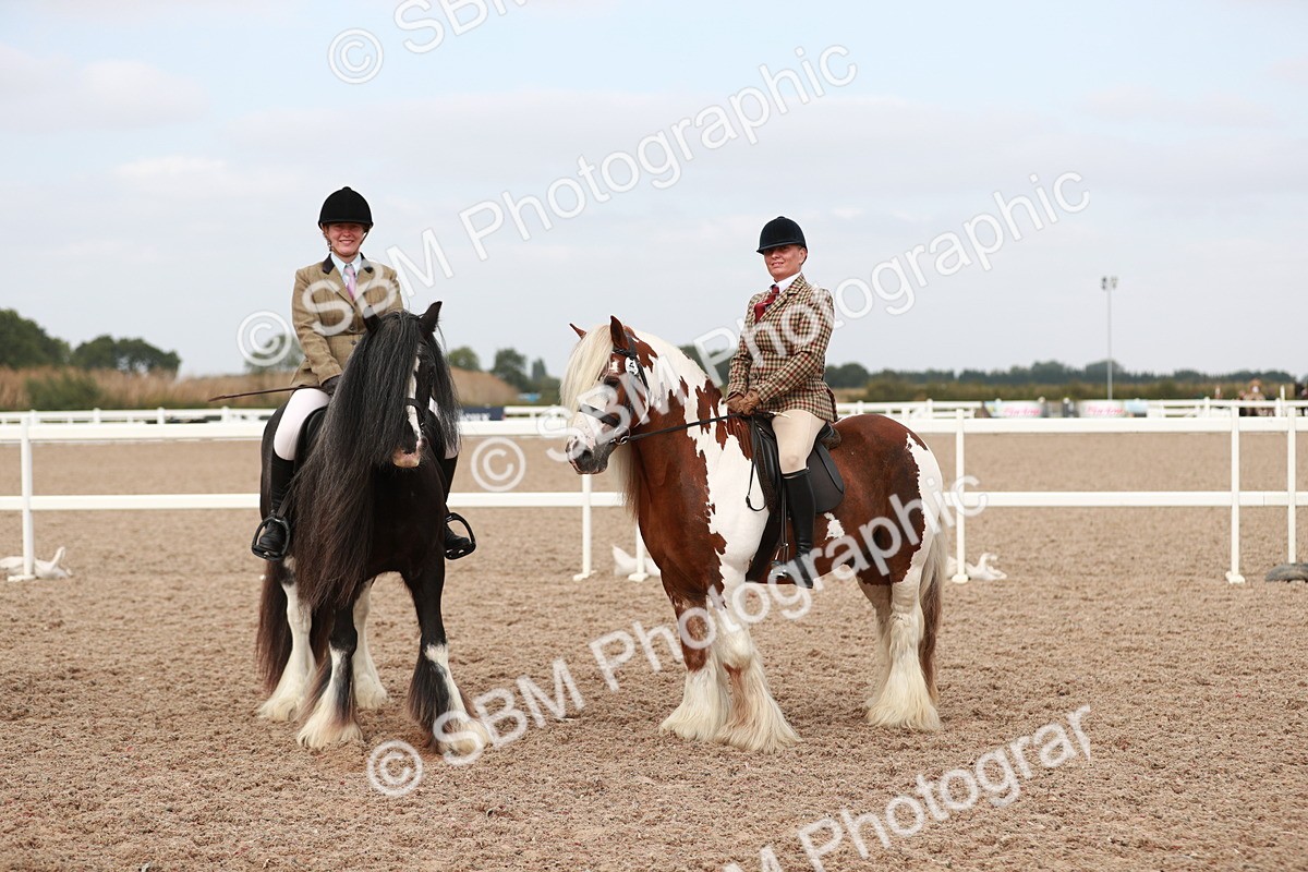 SBM_16720 - Class 214 Ridden Cob