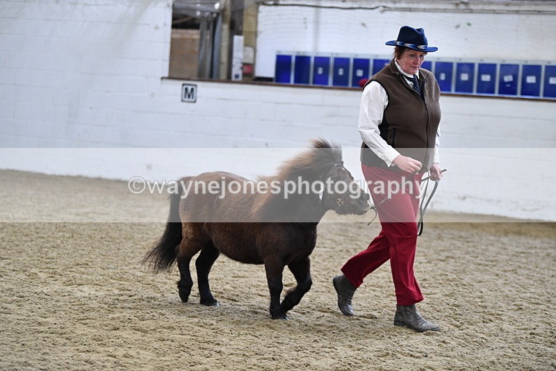 WJ5_5473 - Class 4 In hand M&M - small breeds