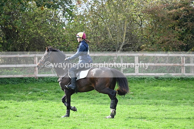 WJ7_0169 - Time 13:55 to 14:26