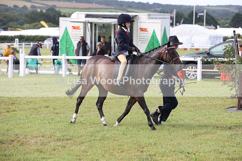 JPP_0402 - Class 14: Cornish Combination Leading Rein