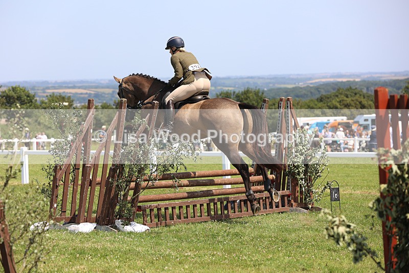 JPP_3137 - Class 22: Working Hunter 70cm
