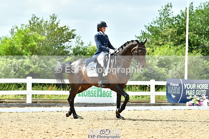 230702A-161822-11153 - Cls 37 + 42 FEI PSG + GP