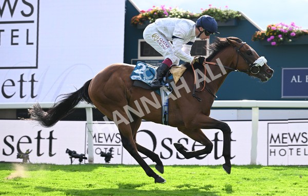 210825-218 Stellar Sunrise - Race 6 4.45pm Mews Hotel Ossett EBF Stallions Nursery Handicap