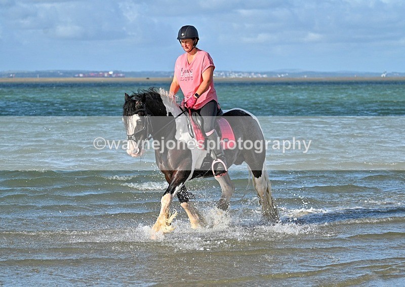WJ7_3703_1 - Kellie & Churchill ... do Hayling Island 25-08-24