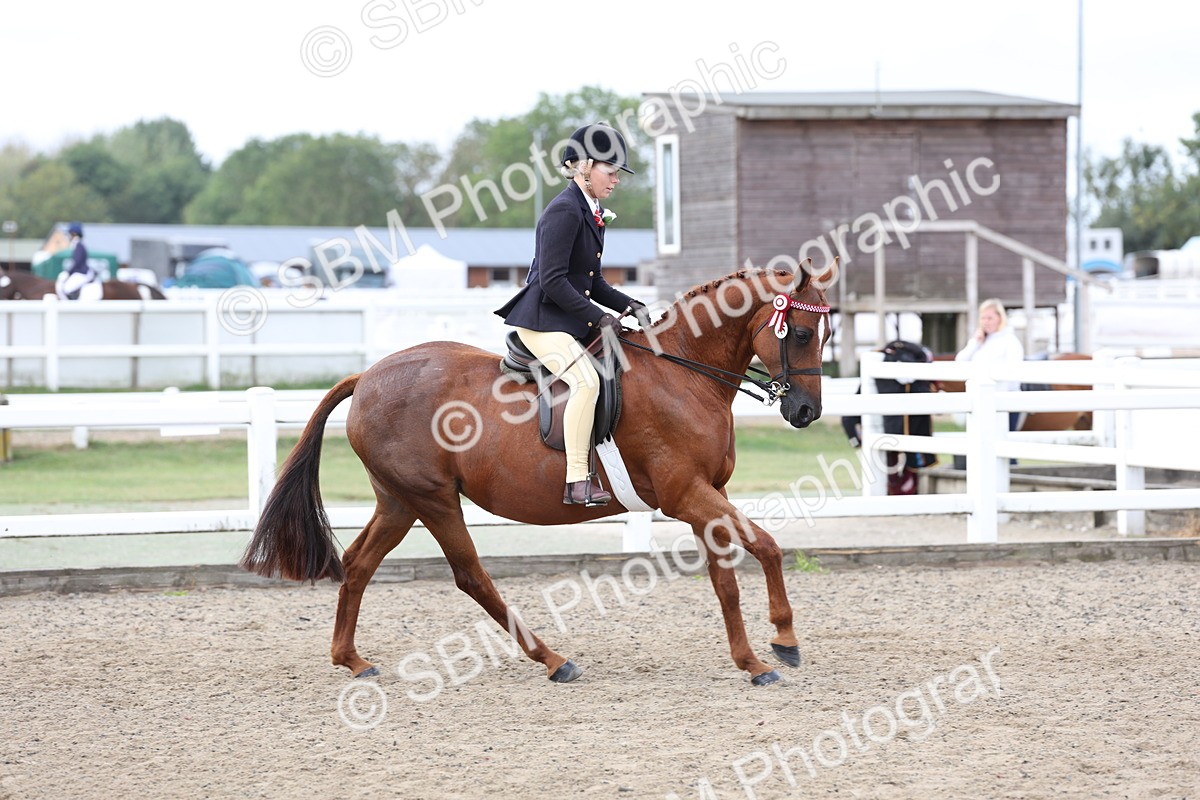 SBM_01489 - Class 52 - Ridden Veteran