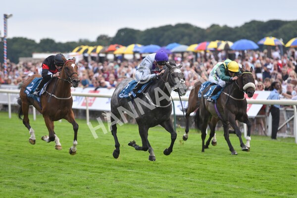 yr23072022r6-34 - Race 6 5.00pm Sky Bet Partnership with Support Dogs Stakes