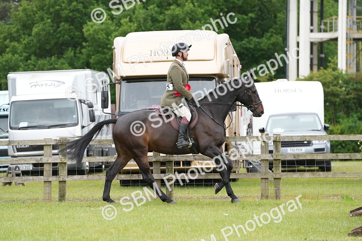 SBM_12830 - Class 97-98 - LIHS BSHA Rising Star Working Show Horse Hunter