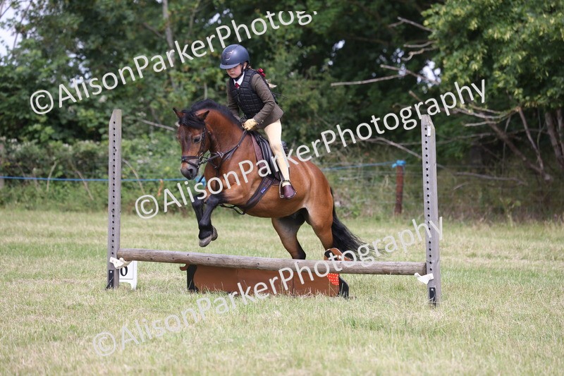 20260614-1820 - Class 21 - Novice Working Hunter Pony