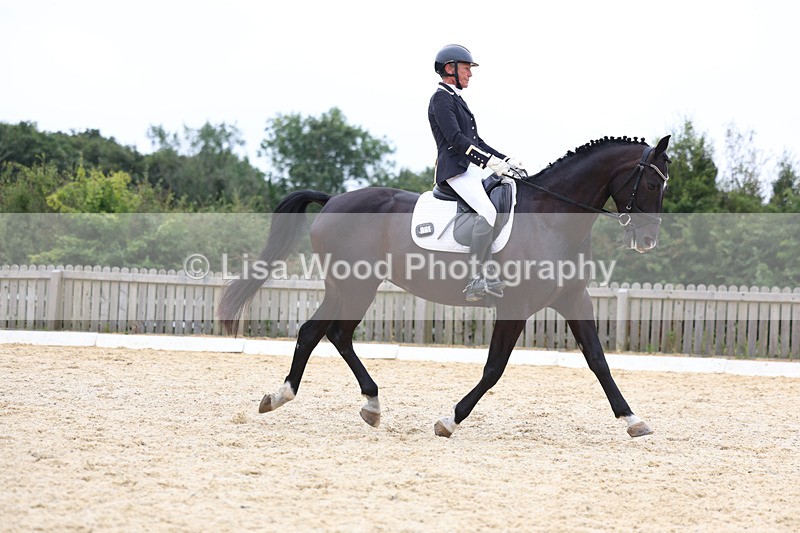 3E7A7255 - Class 9: Elementary 4 2024 - No sections