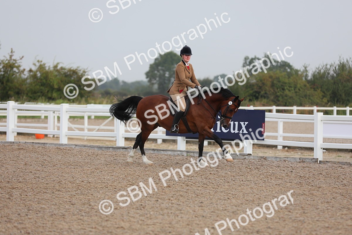 SBM_10003 - Class 302 Ridden M&M -Large Breeds