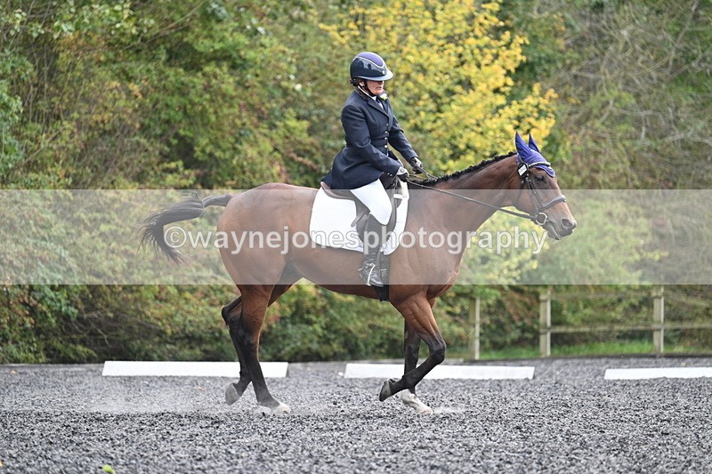 WJ7_6463 - Time 14:49 to 15:14