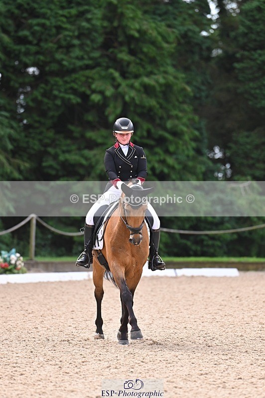 240809-104543-00382 - 173-Daisy.Winkle-Decandro.Hit.LDS