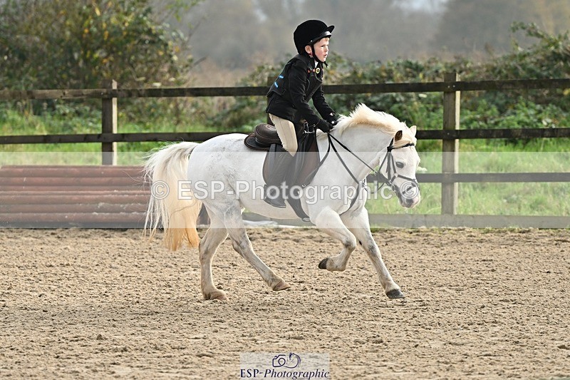 241110-103434-00349 - 40cm Showjumping