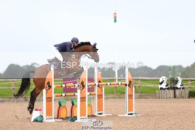 230812A-121158-08751 - Cls 32 Foxhunter