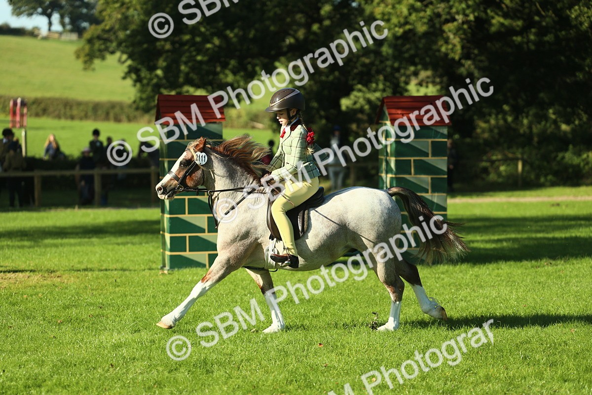 SBM_36366 - S29 - Novice & Newcomers Working Hunter Pony