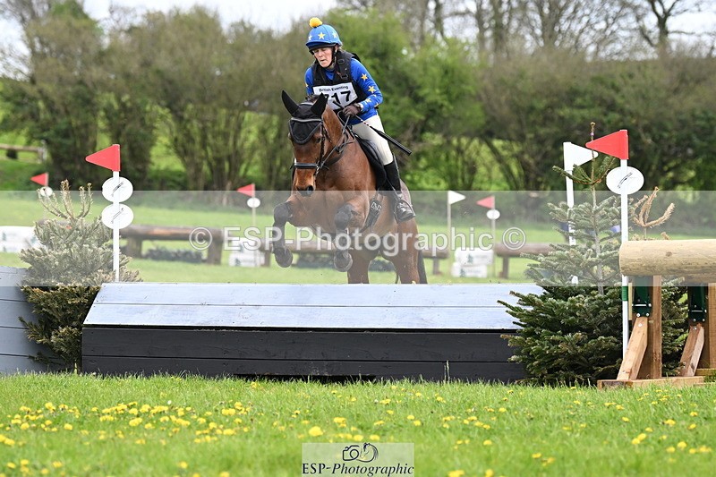 250419-151417-12654 - 717-Helen.Buckland-LIVERMORES.MIDNIGHT.DIAMOND