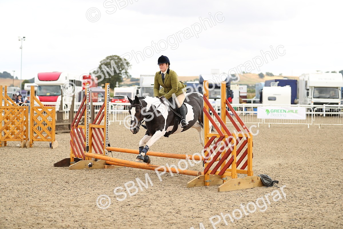 SBM_05186 - Class 47b Style & Performance 60cm (20+)