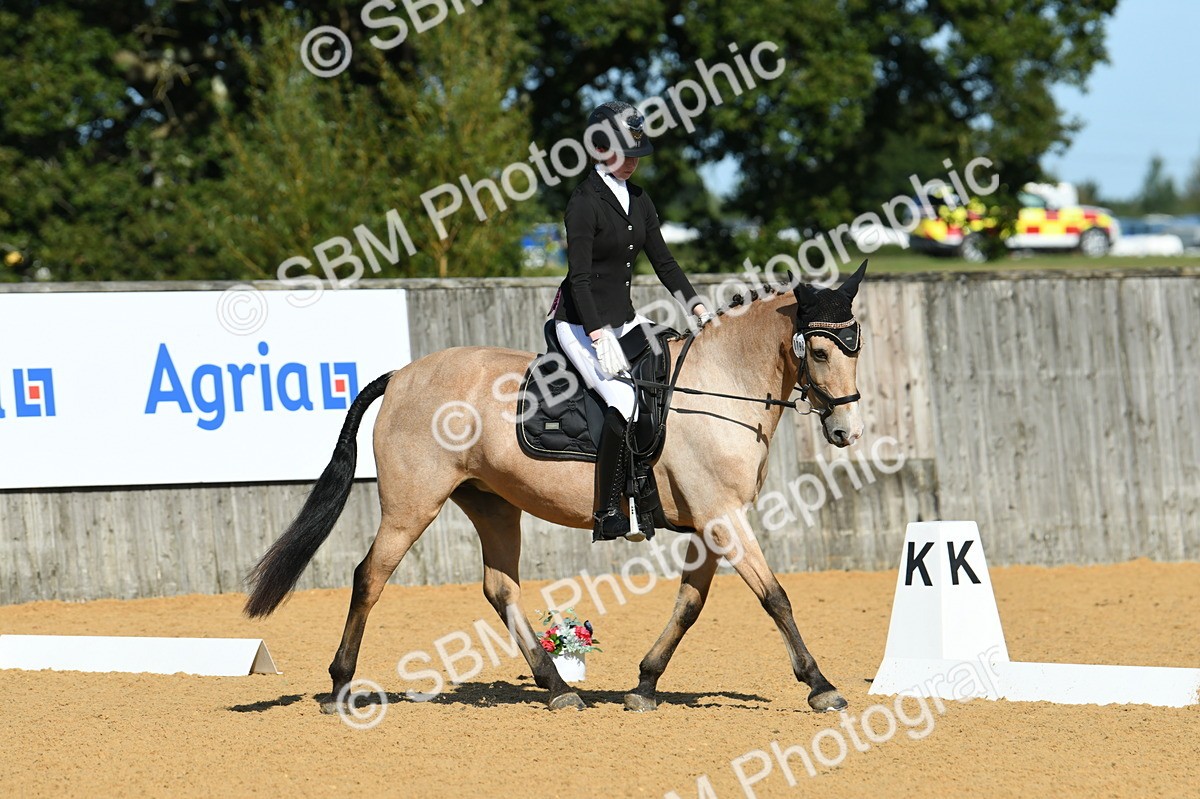 SBM_17884 - D4 - Small Tour Championship - Intro B