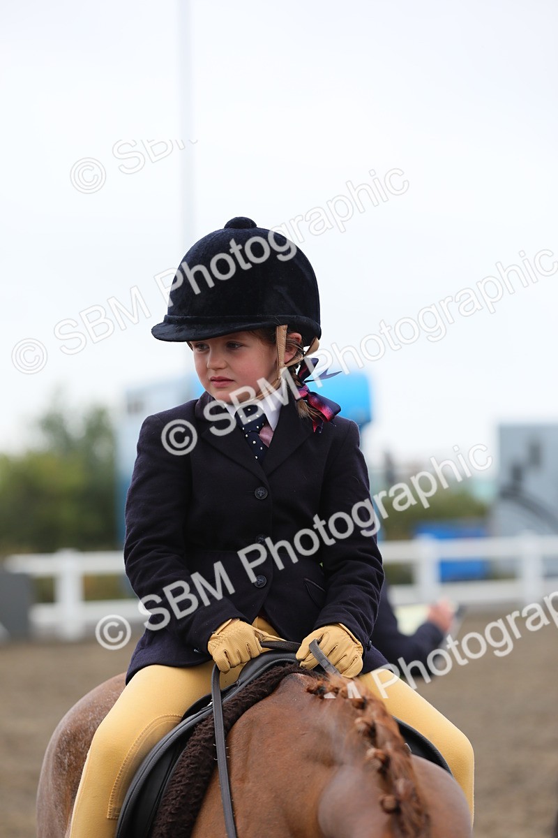 SBM_21856 - Class 806 - Young ridder 10 Yr & Under