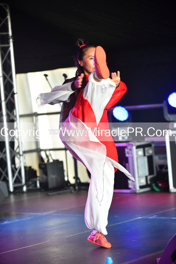 SH4_1473 - Tai Chi with Lisa Kay.